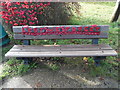 SP8700 : Seat with Commemorative Poppies in Prestwood by David Hillas