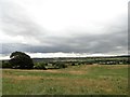 NZ1753 : View across the valley by Robert Graham