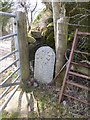 SX5372 : Old Boundary Marker north of Sampford Spiney by Alan Rosevear