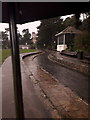 SZ0890 : Bournemouth: along the Bourne stream in torrential rain by Chris Downer