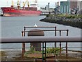 J3575 : Port of Belfast by Gerald England