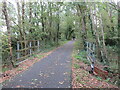 SZ5093 : Red Squirrel Trail near Cowes by Malc McDonald