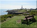 SY6868 : Bench seat near Portland Bill by Malc McDonald