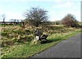 NZ1945 : Carved seat beside the railway walk by Robert Graham