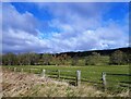 NZ1945 : View north towards Burnhope from the railway path by Robert Graham