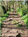 SH5280 : Anglesey Coastal Path at Red Wharf Bay by David Dixon