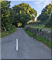 SO3416 : Road towards St David's Church, Llanddewi Skirrid, Monmouthshire by Jaggery