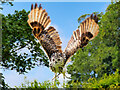 SE0391 : Indian Eagle Owl Flying at Bolton Castle by David Dixon