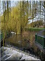 SP3583 : Weir and willows on the River Sowe, Longford Park by A J Paxton