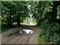 NS0137 : A track going to Mossend from the A841, Brodick, Arran by habiloid