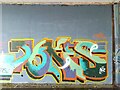 SE3118 : Horbury Underpass of Graffiti by Phillip De-Vere