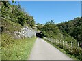 SK1273 : The western portal of tunnel at Chee Tor on Monsal Trail by David Smith