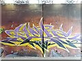 SE3118 : Horbury Underpass of Graffiti by Phillip De-Vere