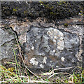 C8105 : Bench Mark near Maghera by Rossographer