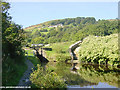 SE0512 : Pig Tail Lock, Huddersfield Canal, Marsden by Martin Clark