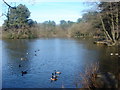 SD5624 : Lake at Cuerden Hall by Margaret Clough