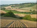  : Farmland, Aldbourne by Andrew Smith