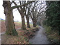 SU9679 : Salt Hill Stream in Montem Recreation Ground in Slough by Nigel Cox