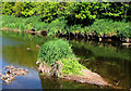 J3067 : The low Lagan near Dunmurry (2) by Albert Bridge