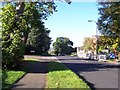 SU7370 : Whitley Wood Road on a sunny morning by Andrew King