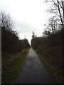 SE6141 : York to Selby cycle path near Stillingfleet by DS Pugh