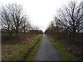 SE6140 : York to Selby cycle path near Mount Farm by DS Pugh