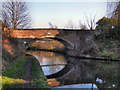 SJ7588 : Bridgewater Canal, Seamon's Moss Bridge by David Dixon