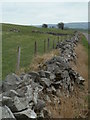 SK1277 : Dry stone wall by the lane to Wheston by Andrew Hill