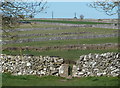 SK1466 : Small fields and limestone walls near Monyash by Andrew Hill