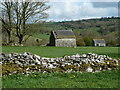 SK2757 : Field barns near Slaley by Andrew Hill