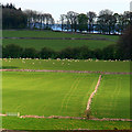 SK1661 : Limestone uplands near Newhaven by David Lally