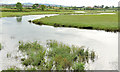 J1860 : The River Lagan, Spencer's Bridge near Moira (1) by Albert Bridge