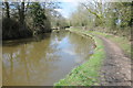 SP0271 : Worcester and Birmingham Canal near Alvechurch by Philip Halling