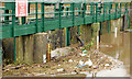 J3470 : Debris, River Lagan, Stranmillis, Belfast (December 2013) by Albert Bridge