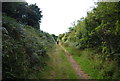 SR9595 : Wales Coastal Path by N Chadwick