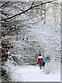 SP9313 : Walking Round the College Lake Nature Reserve in the Snow by Chris Reynolds