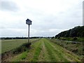 SE9906 : Nesting box beside the Old River Ancholme by Graham Hogg