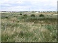 TQ5479 : Rainham Marshes nature reserve by David Smith