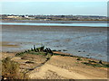 TM0519 : Wreck of 'Fly' a Ballast Barge built in Devon in 1899 by PAUL FARMER