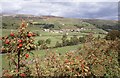 SD9497 : Swaledale by Richard Sutcliffe