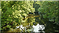 J3067 : The River Lagan at the Drum Bridge, Dunmurry - June 2018(3) by Albert Bridge