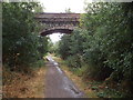 SP7484 : Brampton Valley Way near Great Oxendon by Malc McDonald