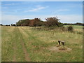 TQ3210 : Path and seat on the South Downs near Brighton by Malc McDonald