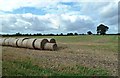 SE5946 : Harvested fields near Bishopsthorpe by Mary and Angus Hogg