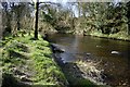 H4772 : Camowen riverbank, Mullaghmore by Kenneth  Allen