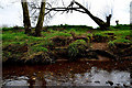 H4672 : Crumbling riverbank, Mullaghmore by Kenneth  Allen