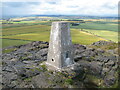 NT5584 : Triangulation pillar, North Berwick Law by Adrian Taylor