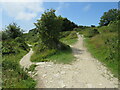 SY6971 : South West Coast Path near Easton, Isle of Portland by Malc McDonald