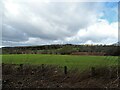 NZ2045 : Countryside view from the railway walk by Robert Graham