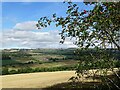 NZ1055 : Looking across the Derwent Valley by Robert Graham